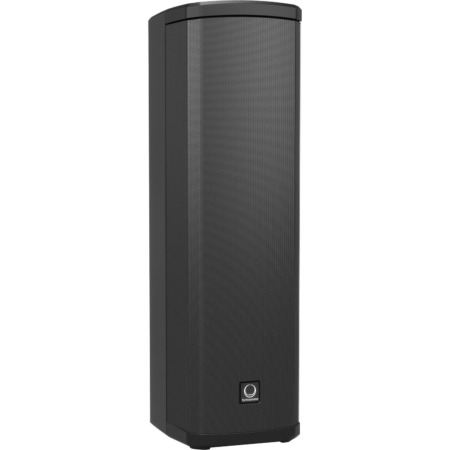 Turbosound IP300 Speaker